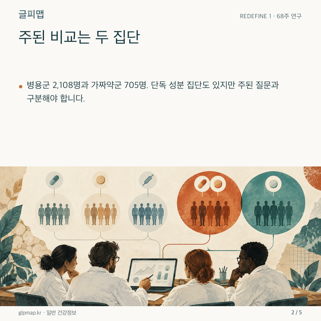 네 집단 중 주된 두 비교군을 강조한 그림