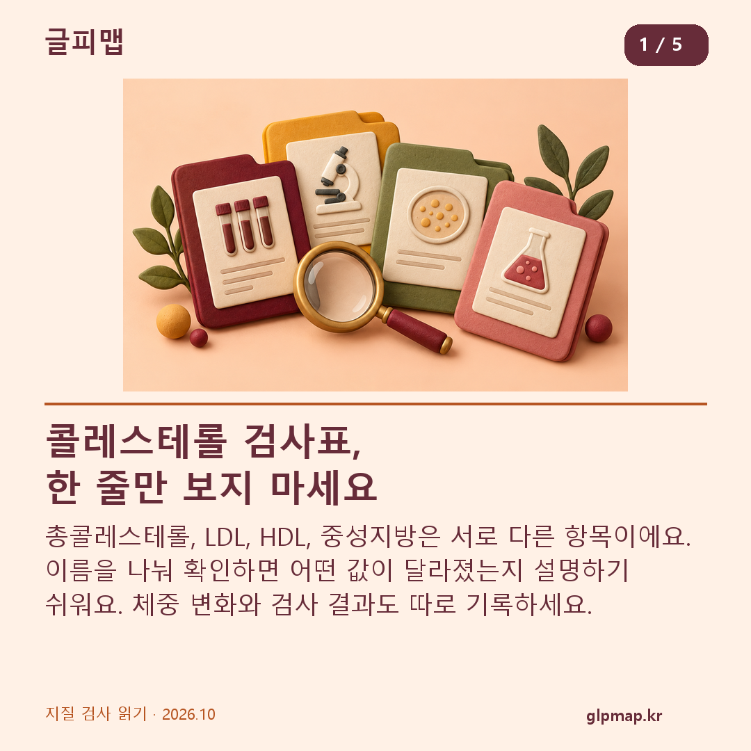 콜레스테롤 검사표의 네 항목을 따로 읽는 방법