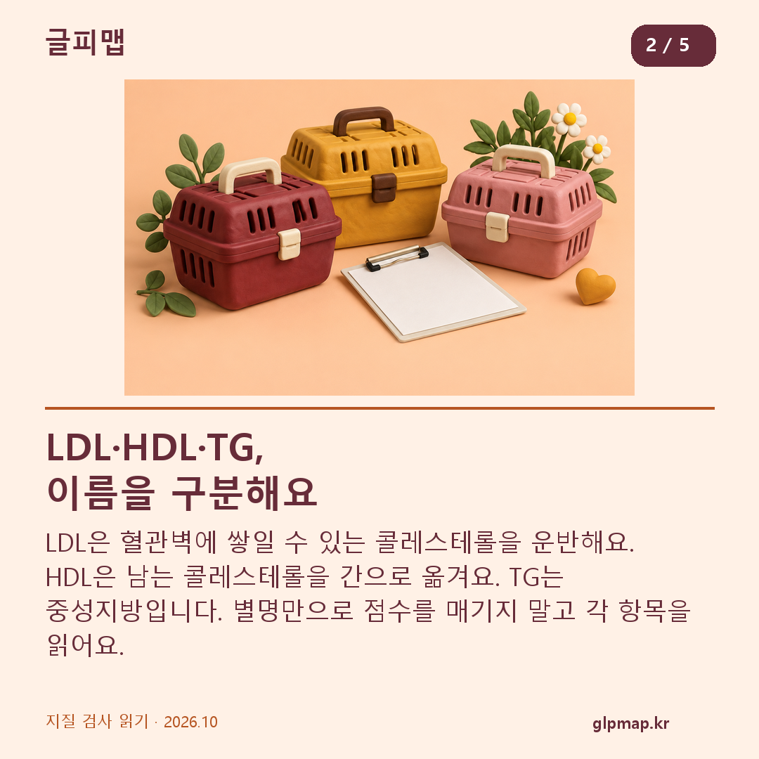 LDL HDL과 중성지방 TG의 뜻