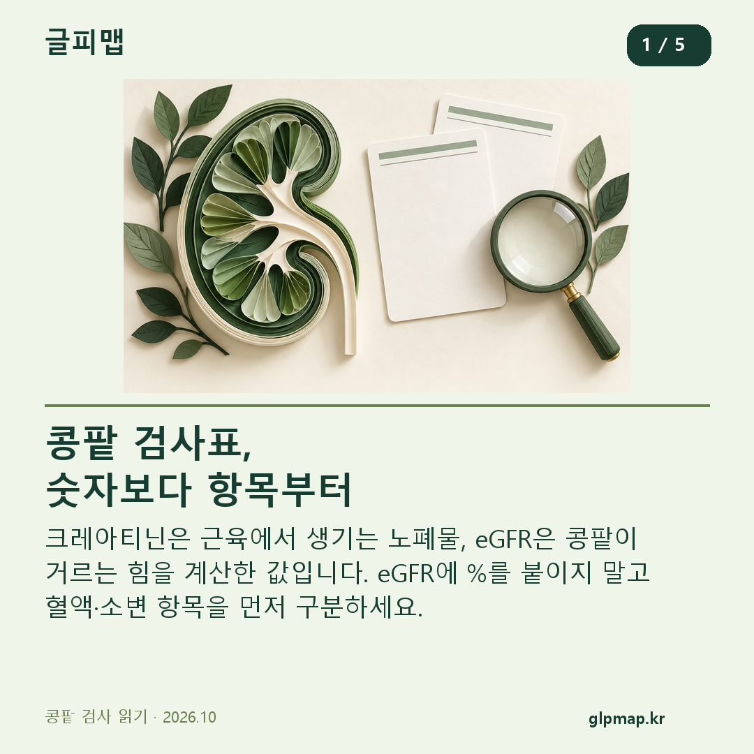 콩팥 모양 종이 조형과 두 검사표: 크레아티닌과 eGFR의 차이