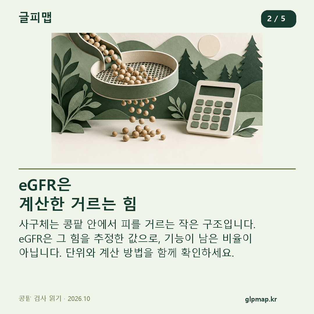 거름 장치와 계산기 조형: eGFR은 추정한 값