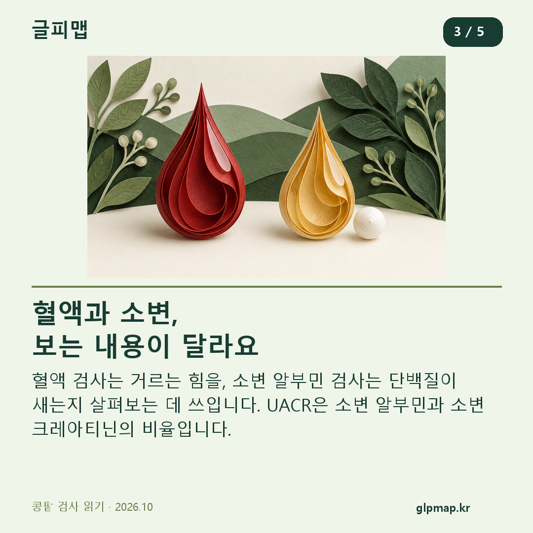 붉은 방울과 노란 방울 조형: 혈액과 소변 검사의 차이