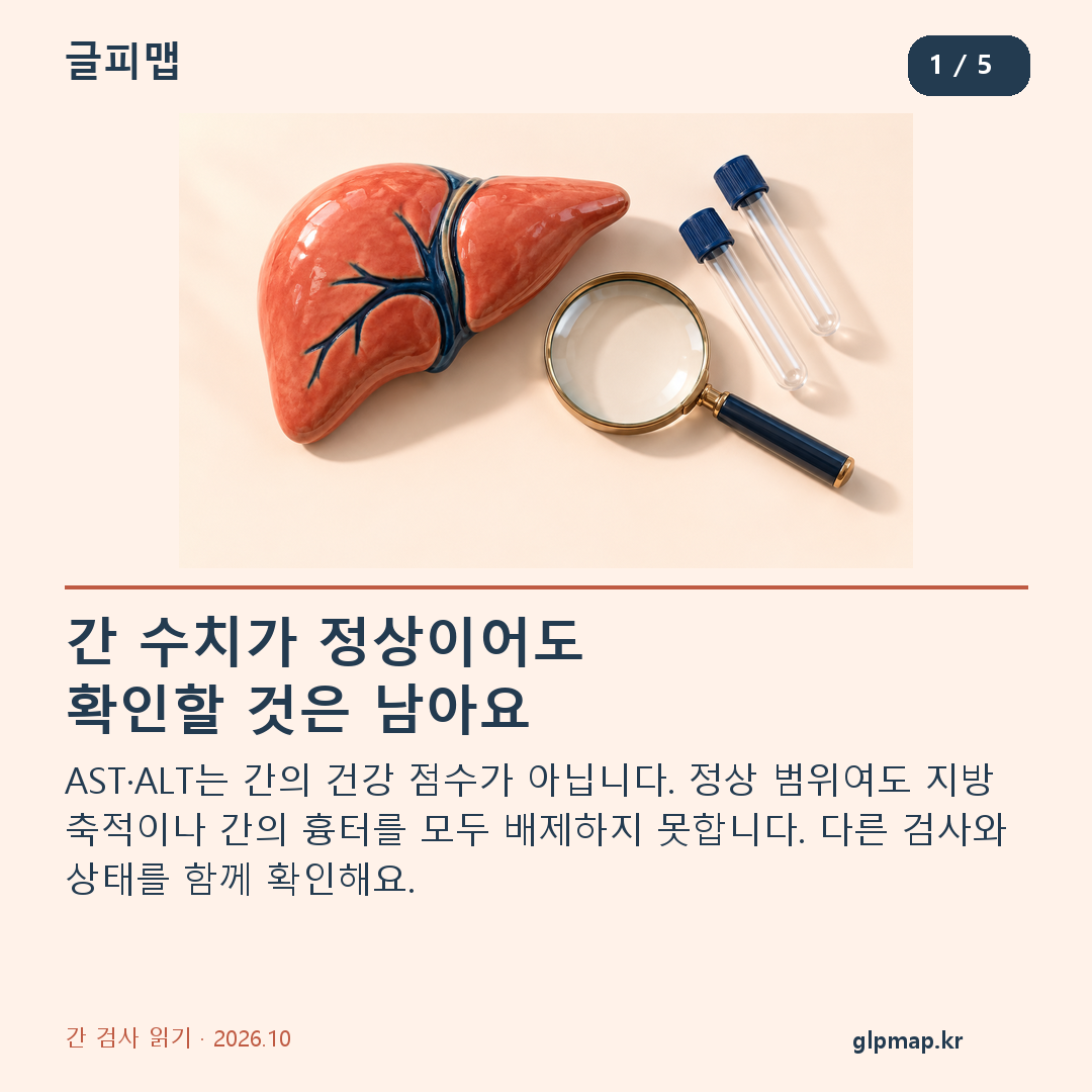 간 수치가 정상이어도 확인할 것은 남아요. AST·ALT는 간의 건강 점수가 아닙니다. 정상 범위여도 지방 축적이나 간의 흉터를 모두 배제하지 못합니다. 다른 검사와 상태를 함께 확인해요.