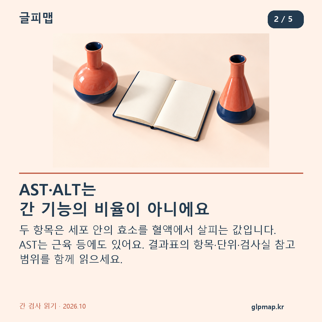 AST·ALT는 간 기능의 비율이 아니에요. 두 항목은 세포 안의 효소를 혈액에서 살피는 값입니다. AST는 근육 등에도 있어요. 결과표의 항목·단위·검사실 참고 범위를 함께 읽으세요.