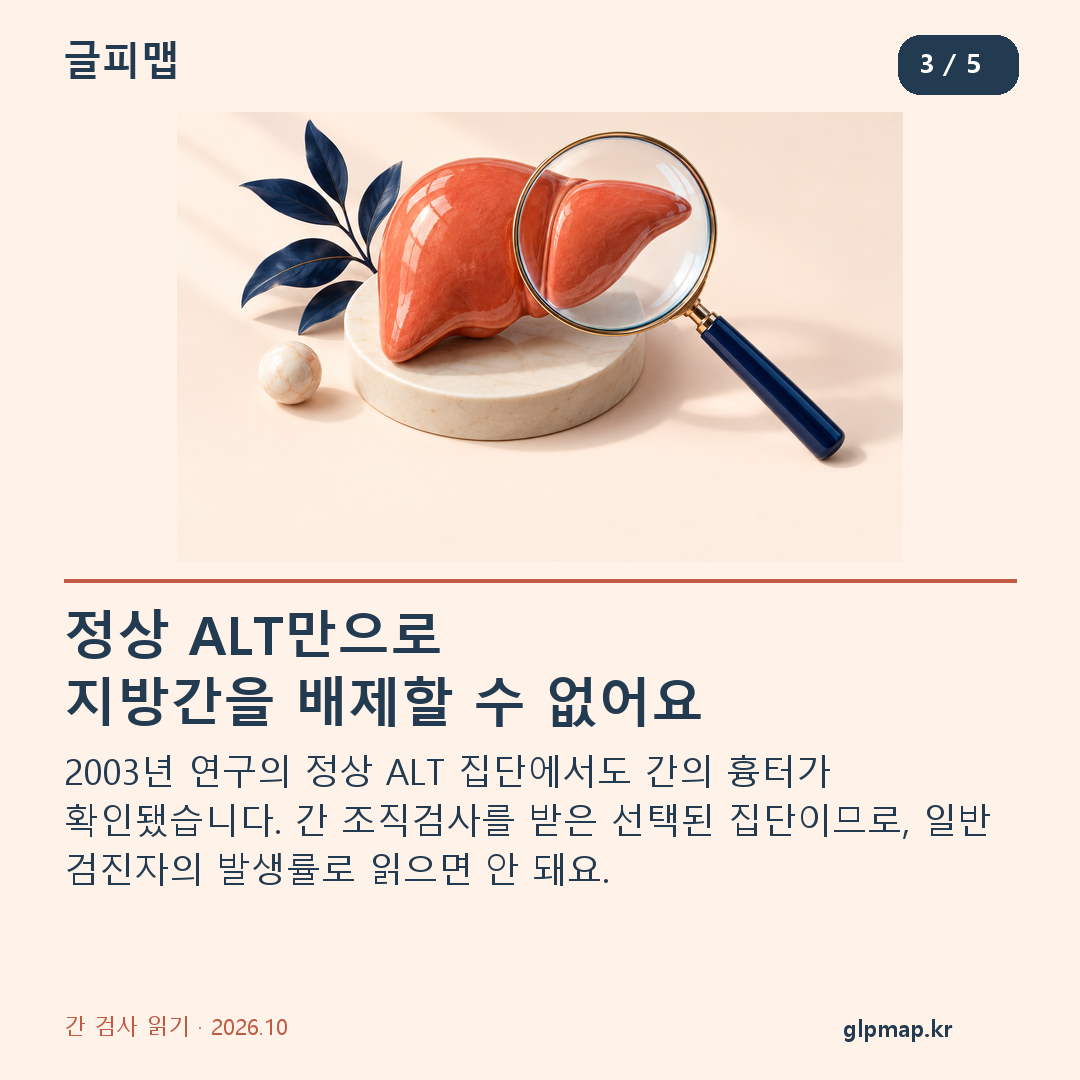 정상 ALT만으로 지방간을 배제할 수 없어요. 2003년 연구의 정상 ALT 집단에서도 간의 흉터가 확인됐습니다. 간 조직검사를 받은 선택된 집단이므로, 일반 검진자의 발생률로 읽으면 안 돼요.