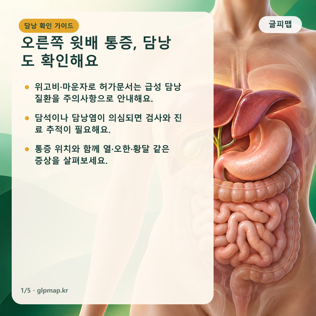 위고비 마운자로와 담낭 경고 신호