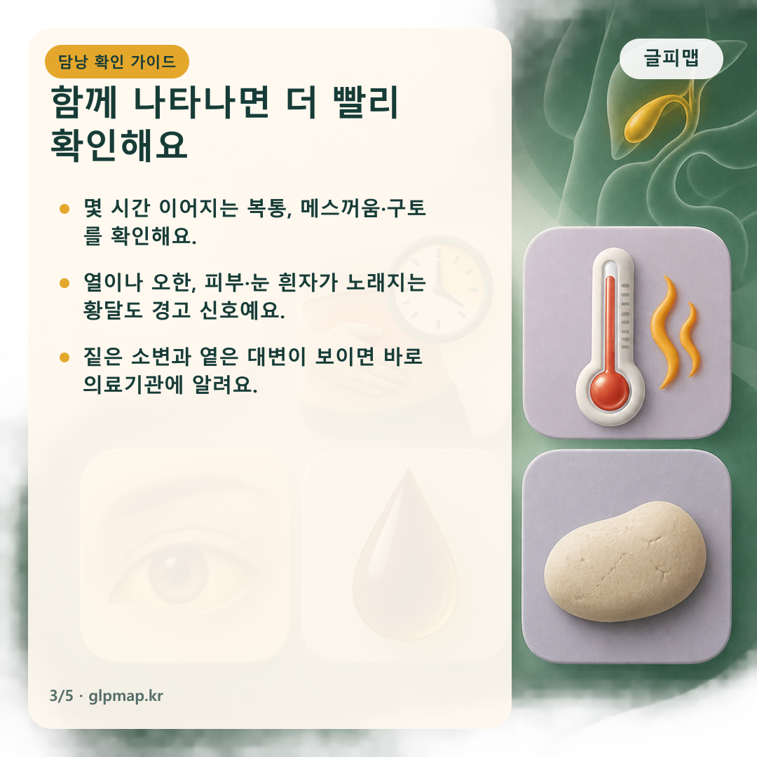 담낭 문제를 의심할 동반 증상