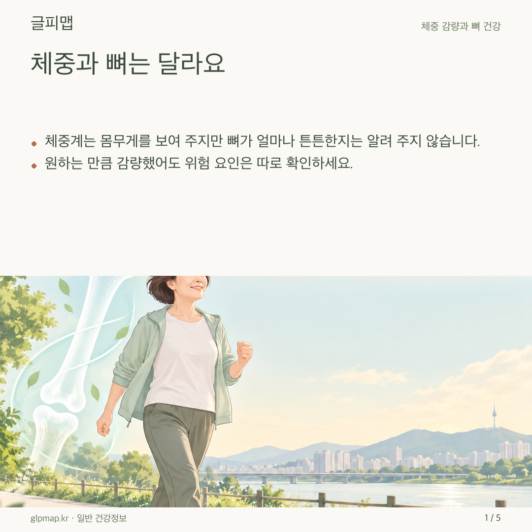 체중계와 뼈 건강을 다른 지표로 보여 주는 삽화