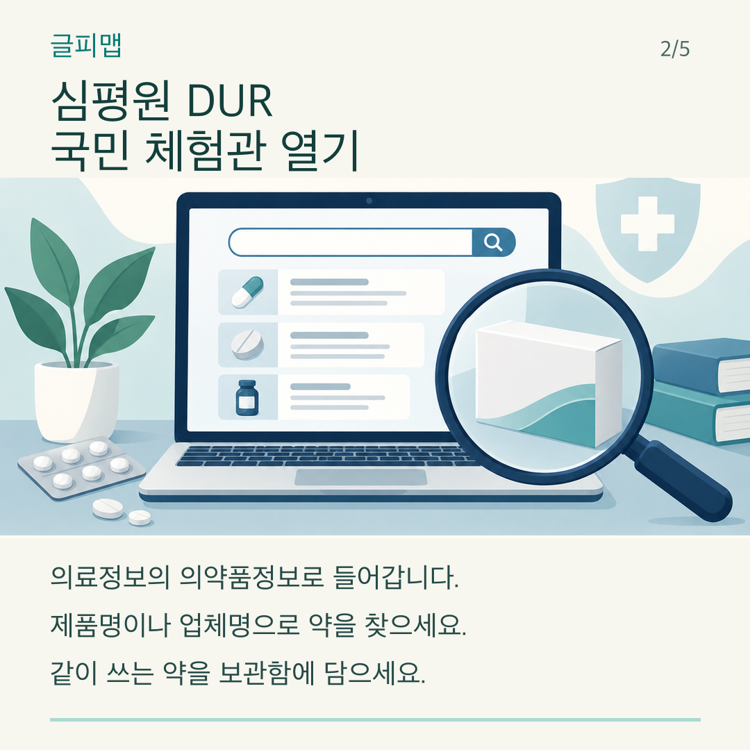 심평원 DUR 체험관 검색 화면을 살펴보는 그림