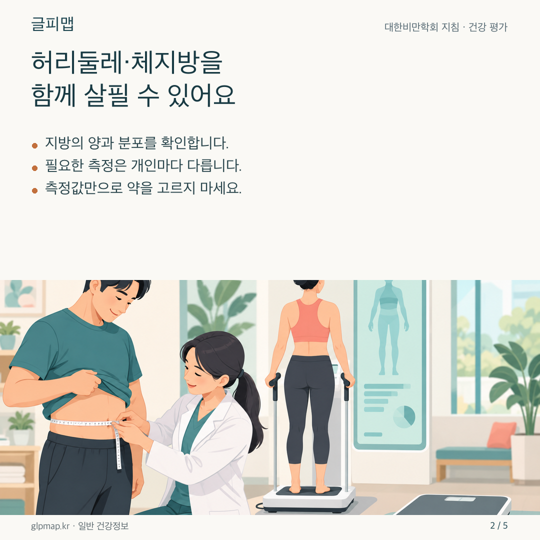 허리둘레와 체지방 평가를 나타낸 그림