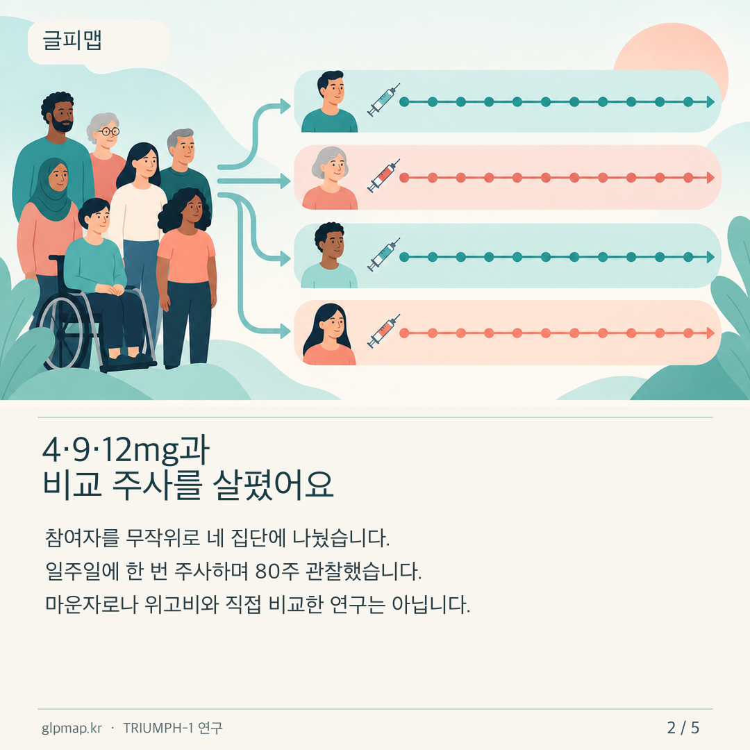 TRIUMPH-1의 네 비교 집단과 80주 연구 설계