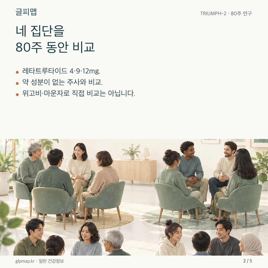 네 연구 집단과 80주 관찰을 보여 주는 그림