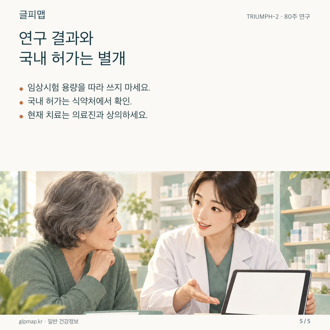 연구 보고서와 국내 의약품 허가 정보를 구분하는 그림