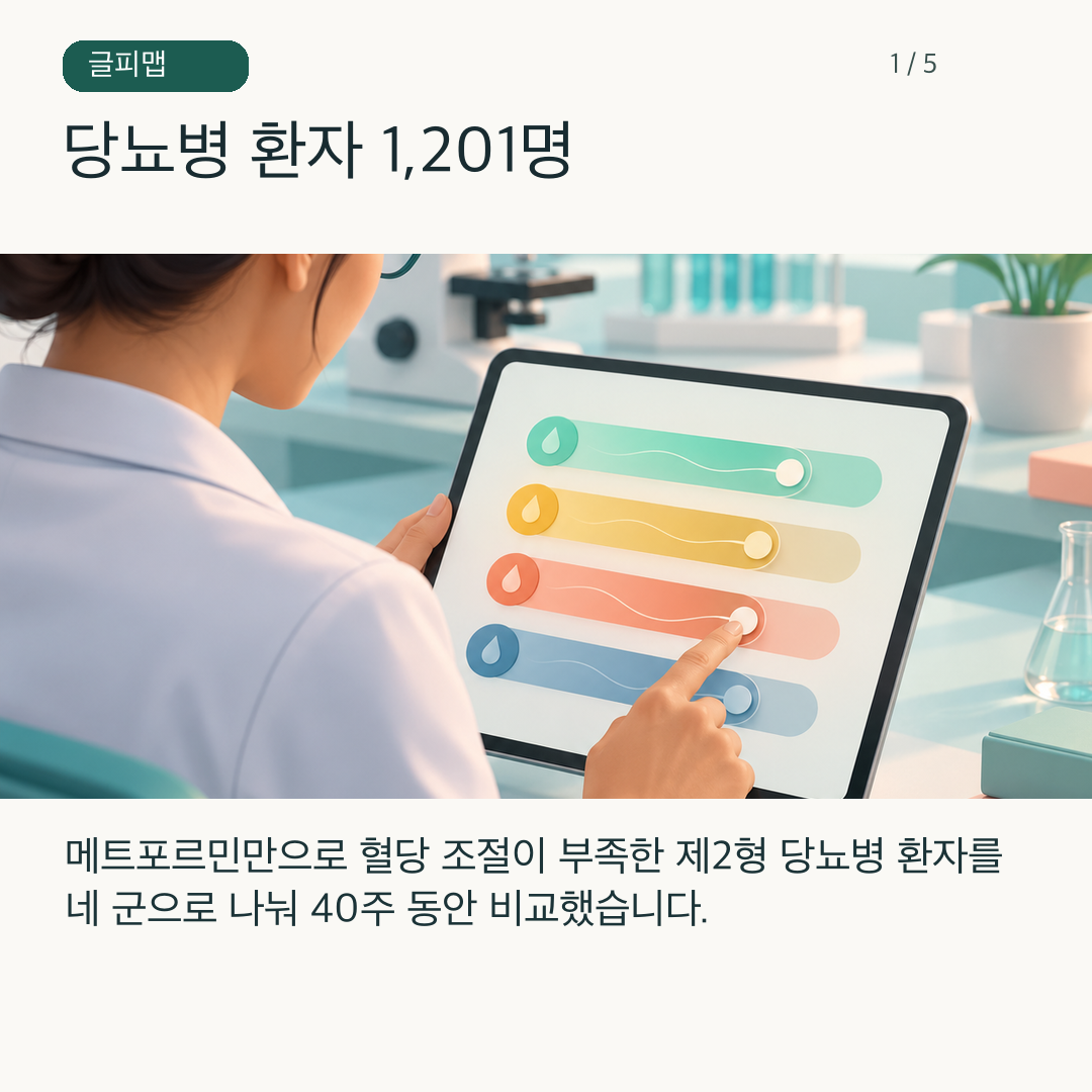 제2형 당뇨병 연구 참여자와 네 치료군을 나타낸 그림