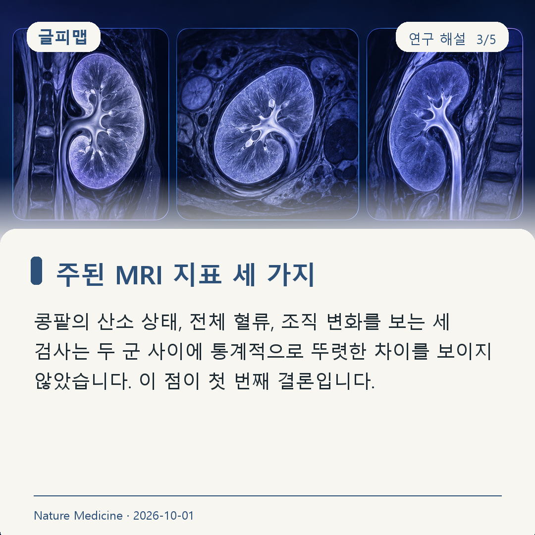 주된 MRI 지표 세 가지에서 뚜렷한 차이 없음
