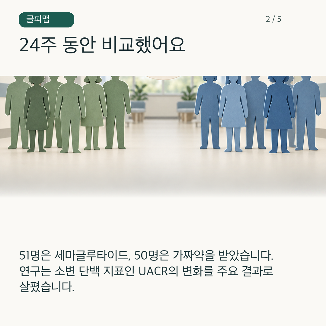 두 연구 집단의 24주 비교를 보여주는 그림