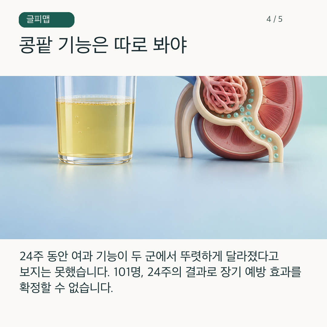 소변 단백과 콩팥 여과 기능을 따로 확인하는 그림