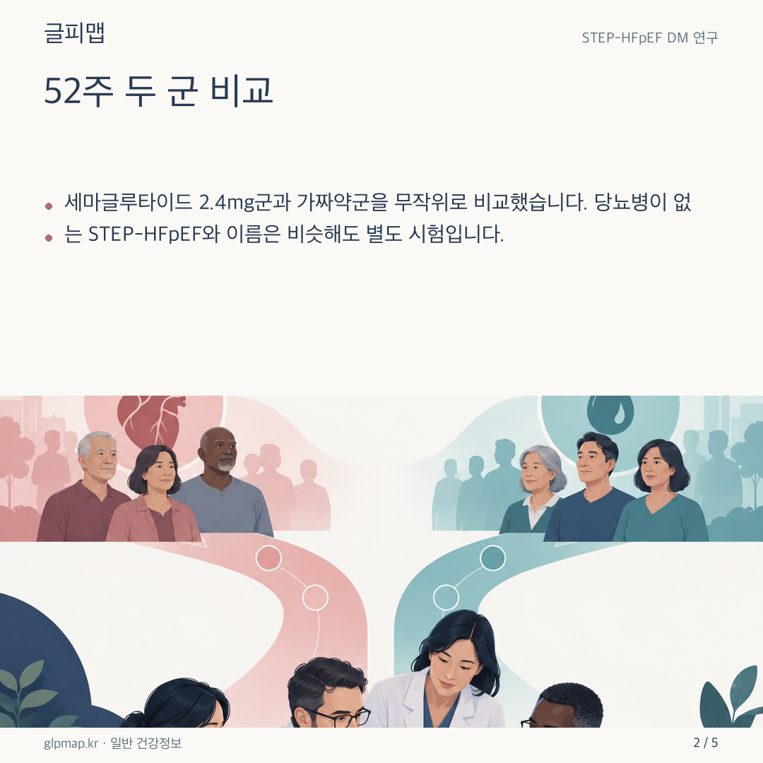 두 연구군의 52주 관찰을 표현한 삽화