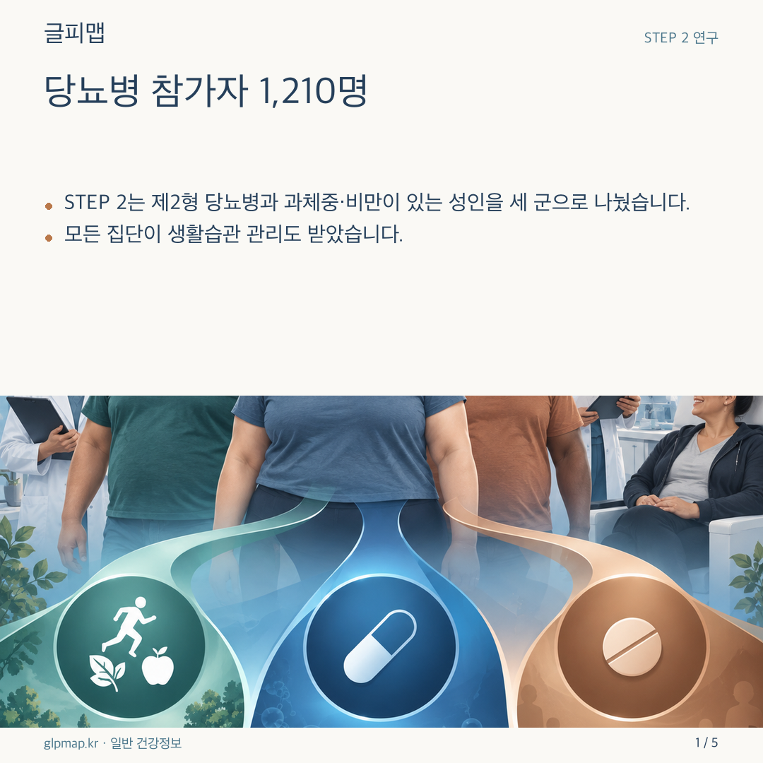 세 갈래 시험 집단과 당뇨병 참가자를 나타낸 삽화