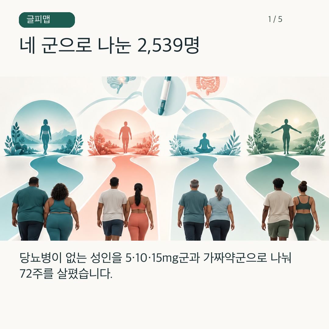 네 연구 집단을 나타내는 그림