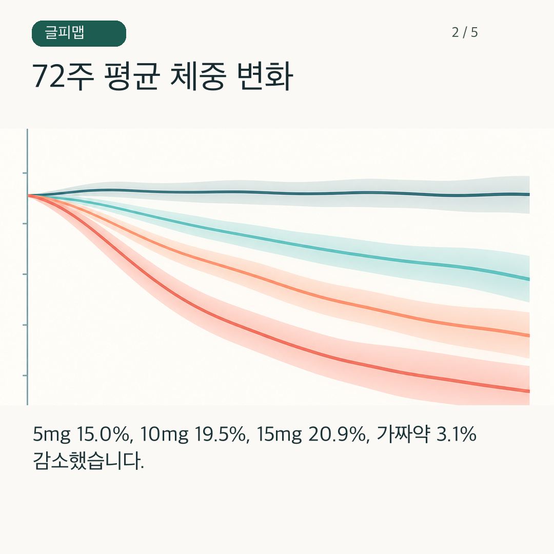 네 집단의 체중 변화 방향을 그린 그림