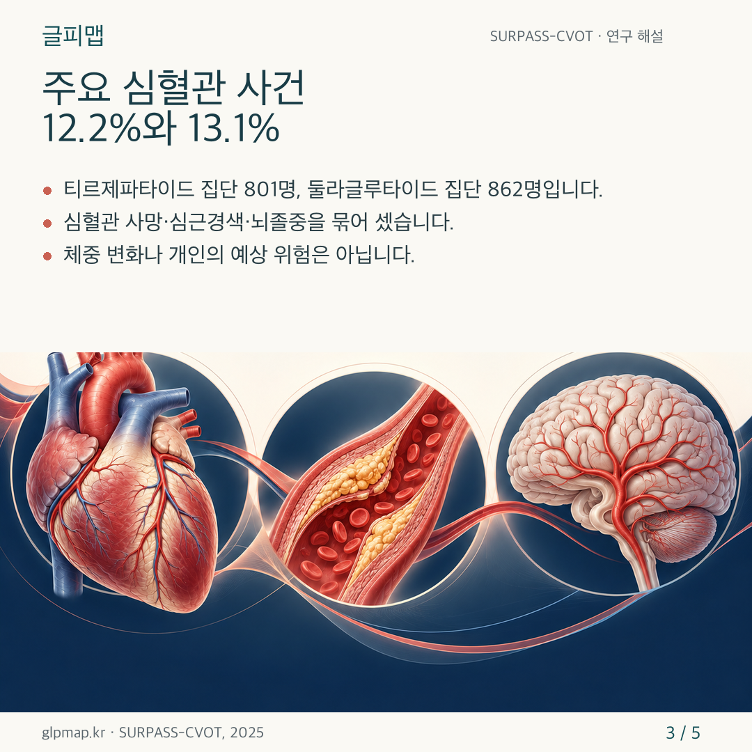 SURPASS-CVOT 두 집단의 주요 심혈관 사건 비율 카드