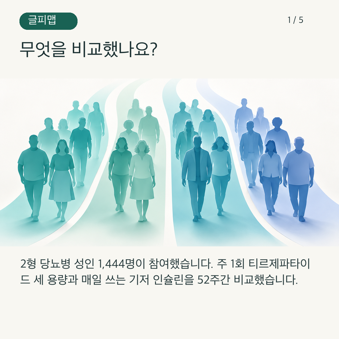 네 연구 집단을 나누어 보여 주는 그림