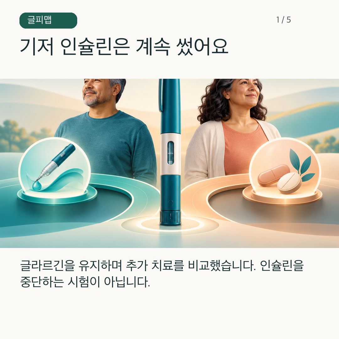 기저 인슐린 위에 두 치료 선택지를 더하는 연구 설계 그림
