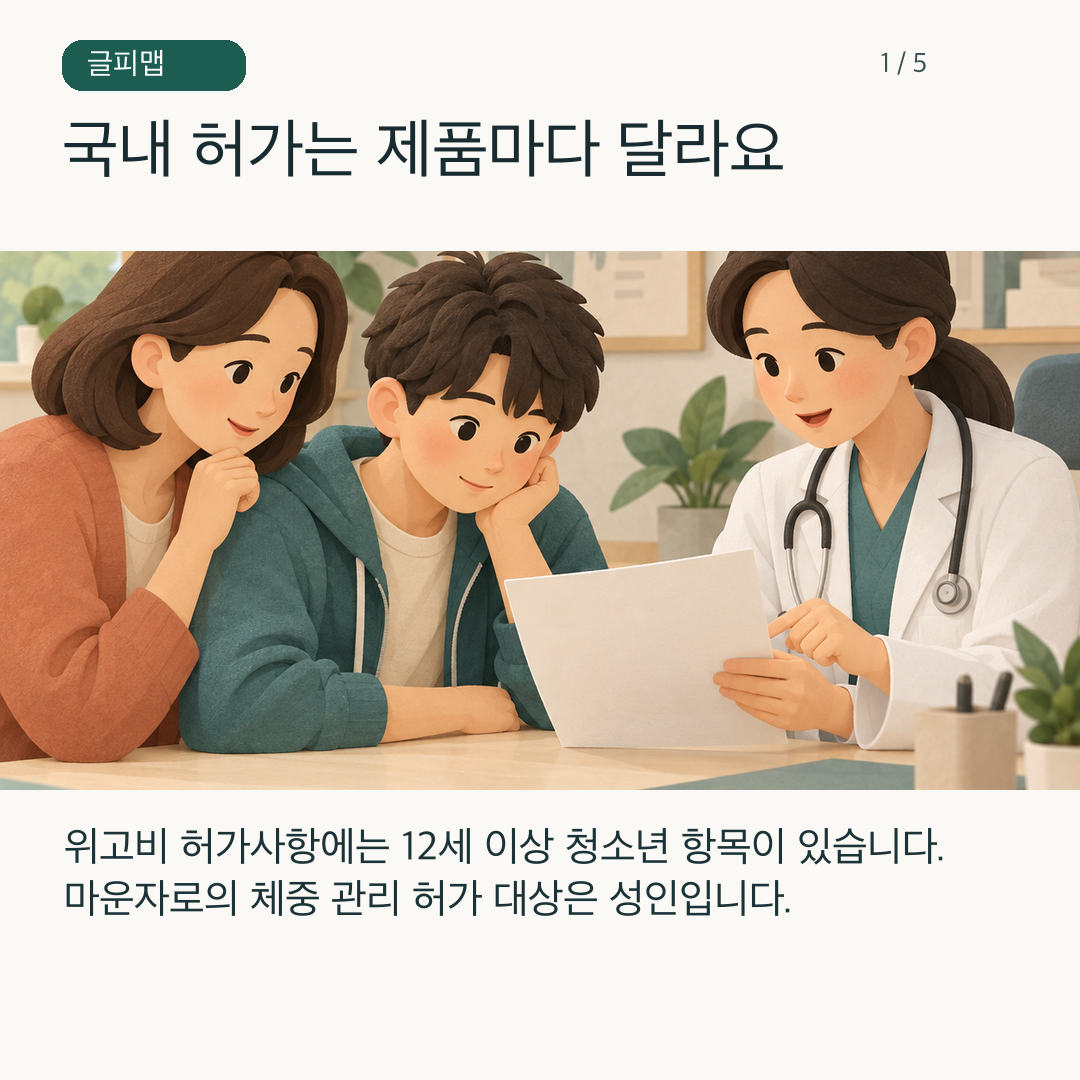 두 제품의 국내 허가 문서를 나란히 확인하는 그림