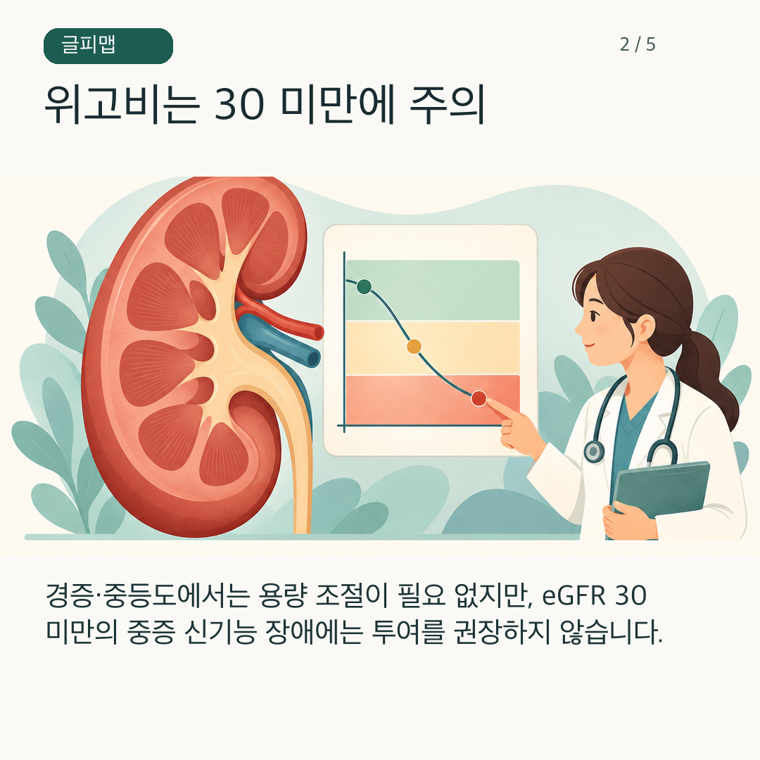 위고비 국내 허가사항의 eGFR 경계와 주의 문구를 보여주는 그림